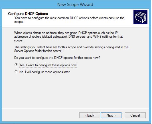 Configure DHCP Options