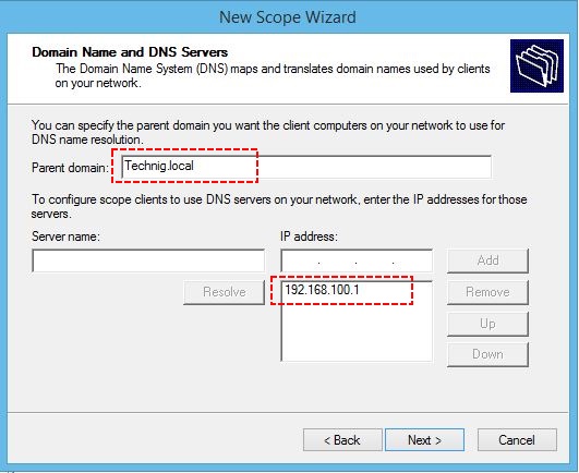 Domain Name and DNS Server