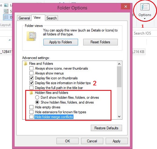 Folder Option Setting