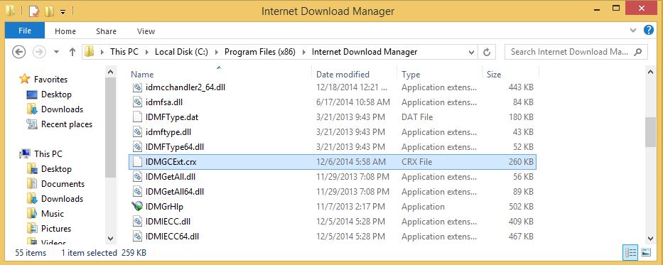 Internet Download Manager Setup Files