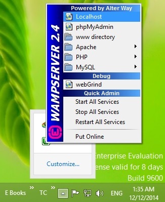 Wamp Server Icon
