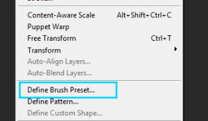 Define Brush Preset 