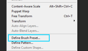 Define Brush Preset