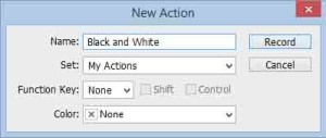 New Action dialog box