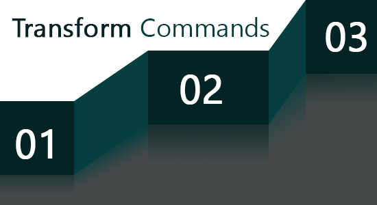 transform command