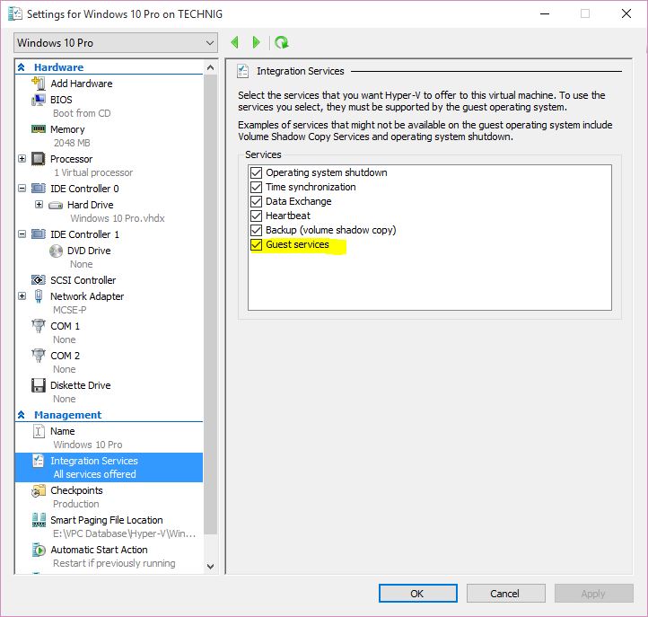 Hyper-v Guest Services