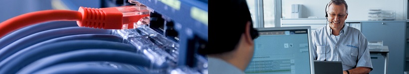 Windows 10 Network and Remote Services