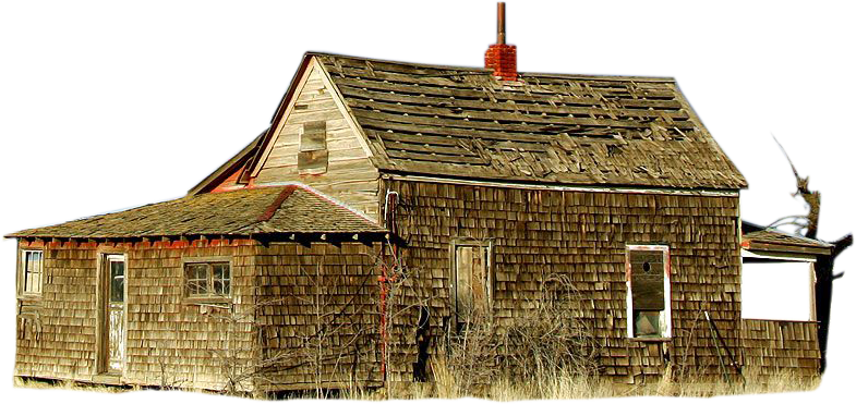Home Cut scense
