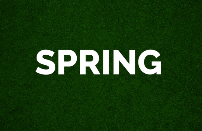 Spring - Technig