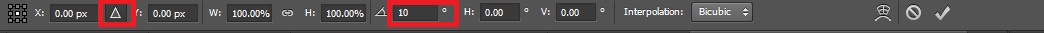 Transform Option Bar - technig
