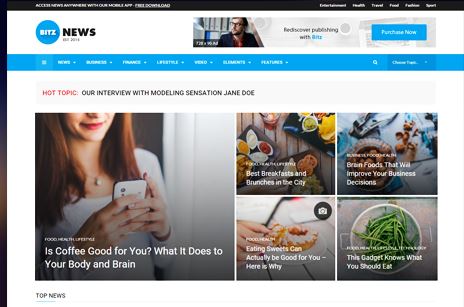 Bitz - News & Publishing Theme