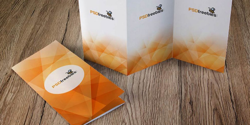 top10-free-psd-tri-fold-brochure-mock-ups - Technig