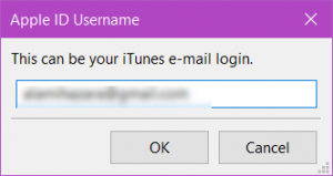 Enter your Apple ID