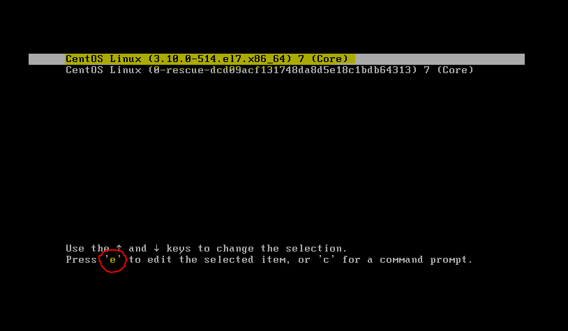 CentOS Linux 8 (Core)