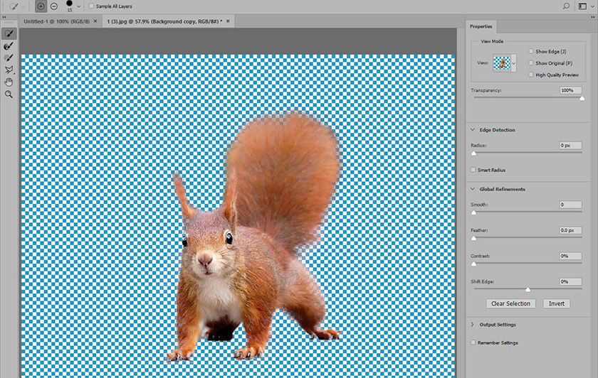 Refine Edge Tool In Photoshop CC 2017