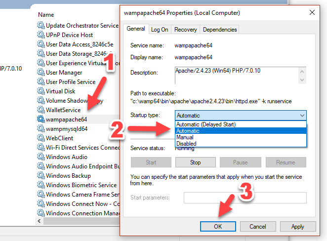 start wamp server on startup windows 10