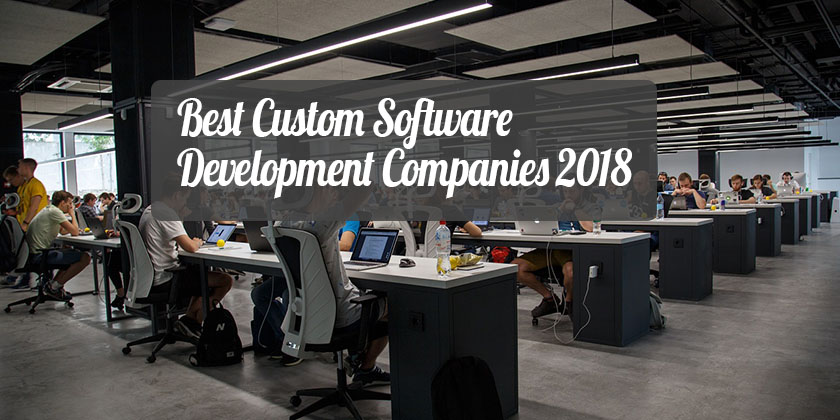 Top Custom Software Development Companies 2018 - Technig