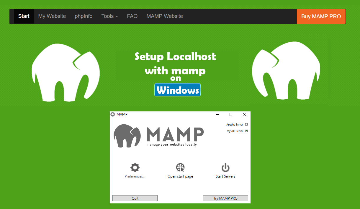 How to setup localhost with mamp in windows