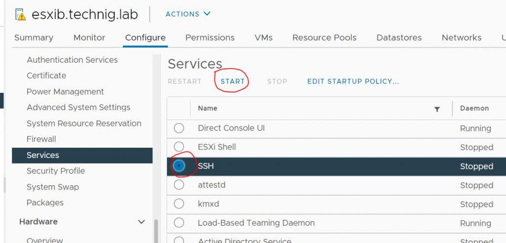 Enable SSH on ESXi Host via vCenter