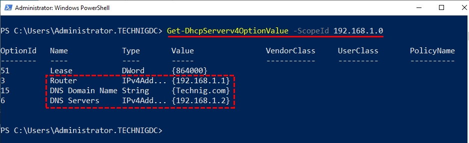 Verify DNS Server, DNS Domain and Default Gateway Configurations Using PowerShell