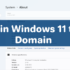 Windows 11 Tips